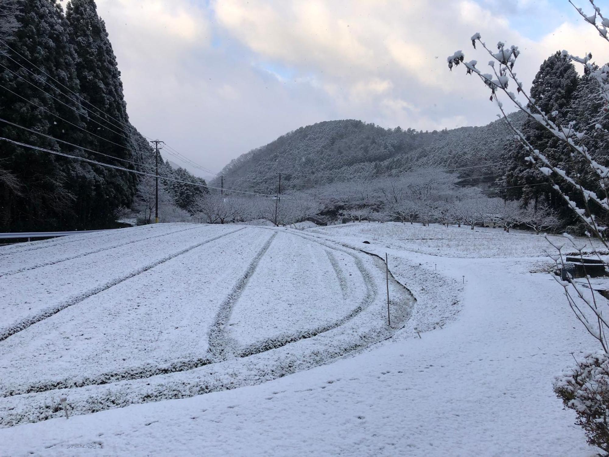 Satoyama Hotel Kanenone Tamba Maibara Esterno foto