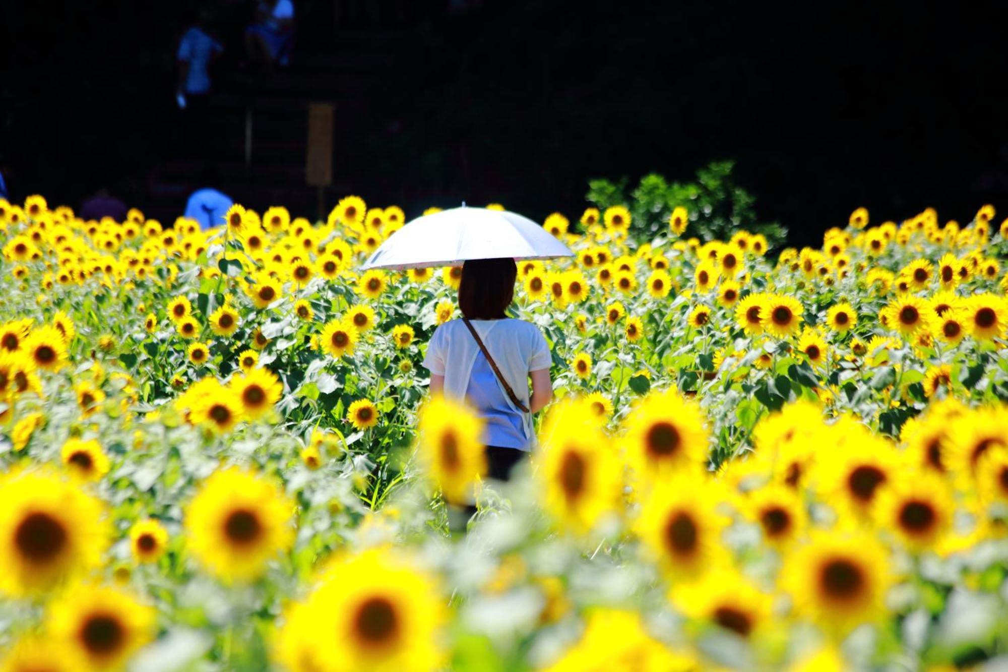 Satoyama Hotel Kanenone Tamba Maibara Esterno foto