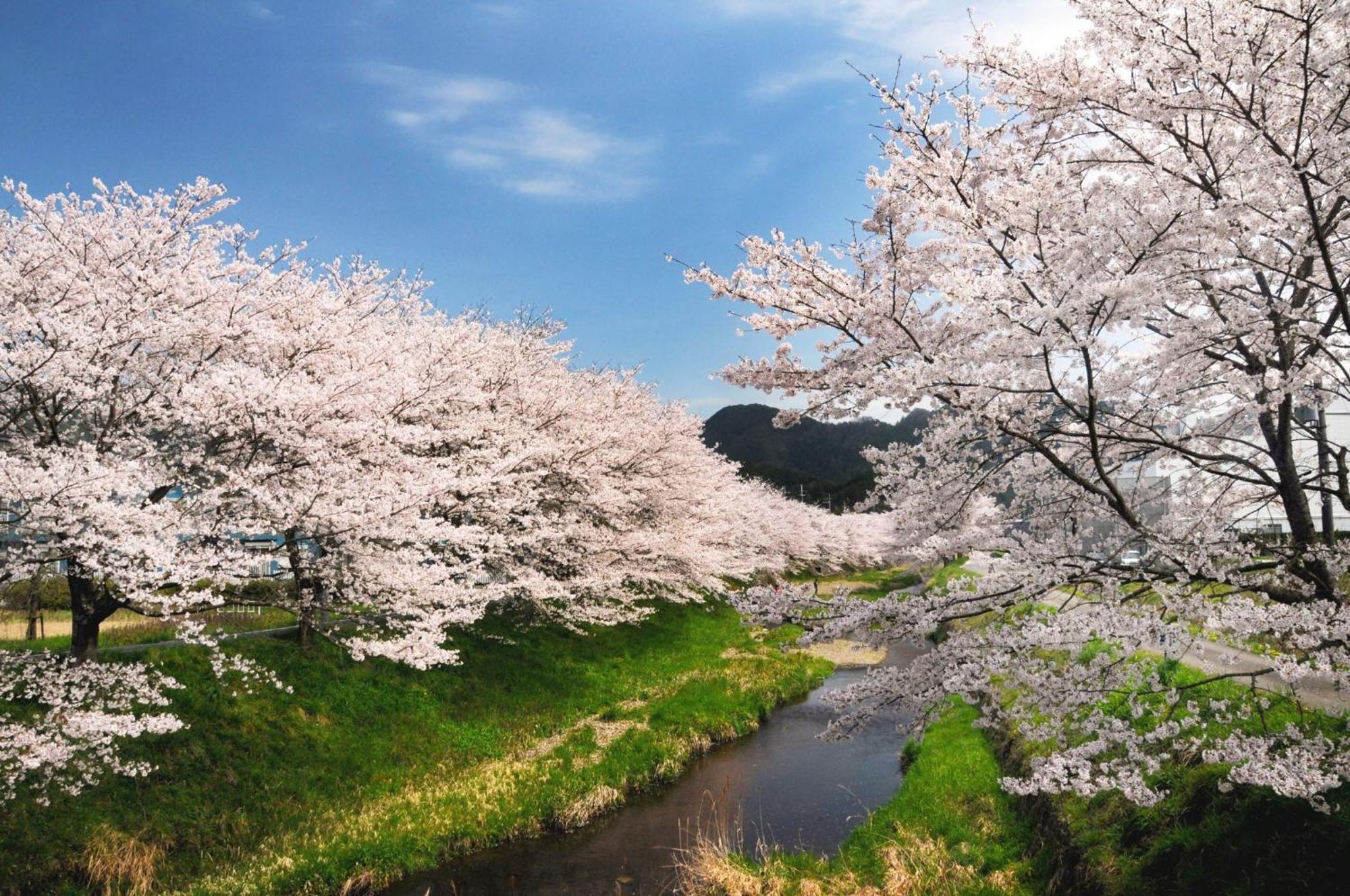 Satoyama Hotel Kanenone Tamba Maibara Esterno foto