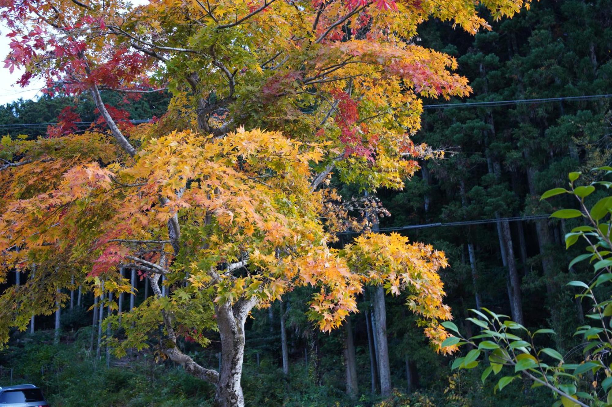 Satoyama Hotel Kanenone Tamba Maibara Esterno foto