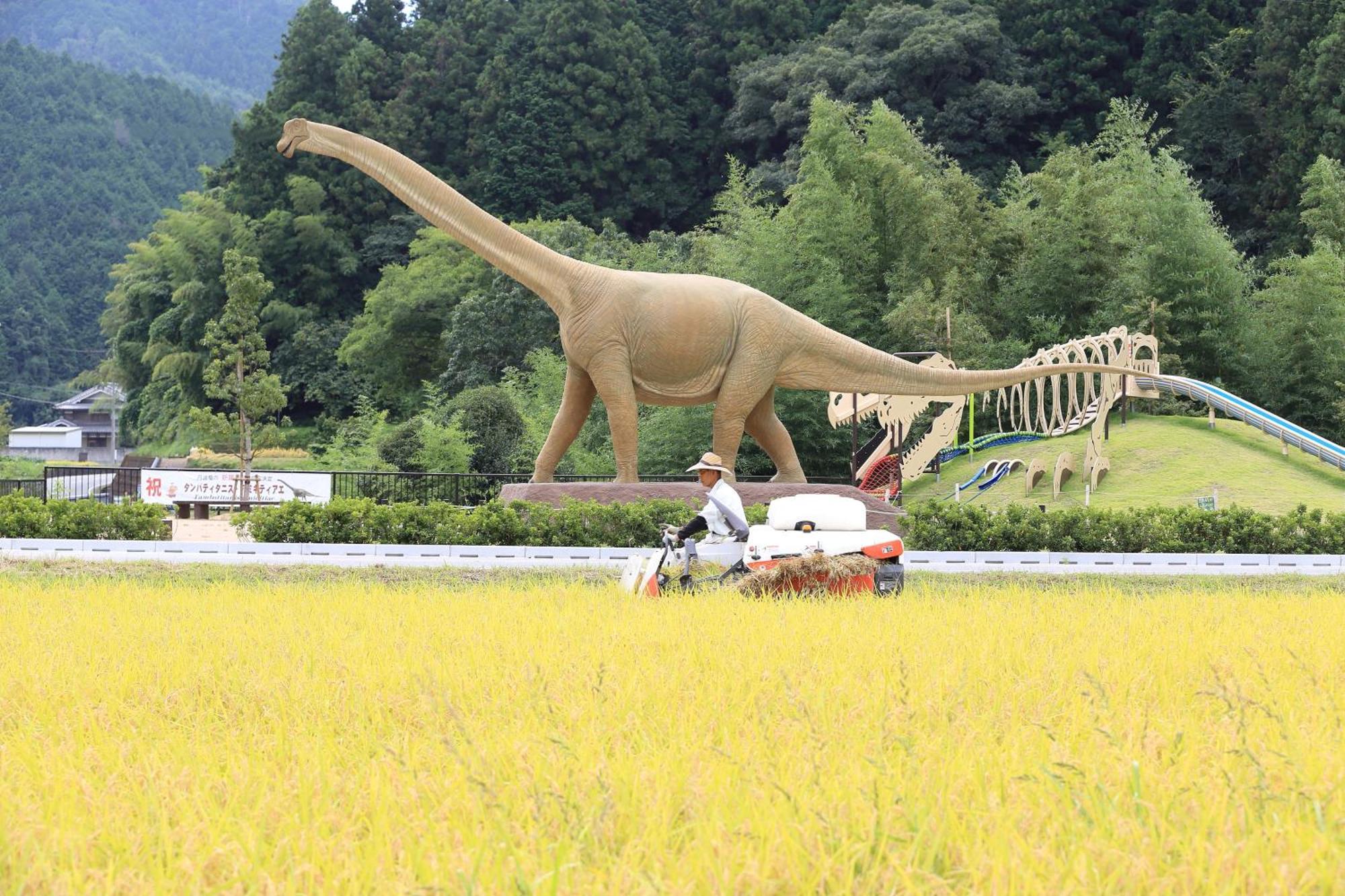 Satoyama Hotel Kanenone Tamba Maibara Esterno foto