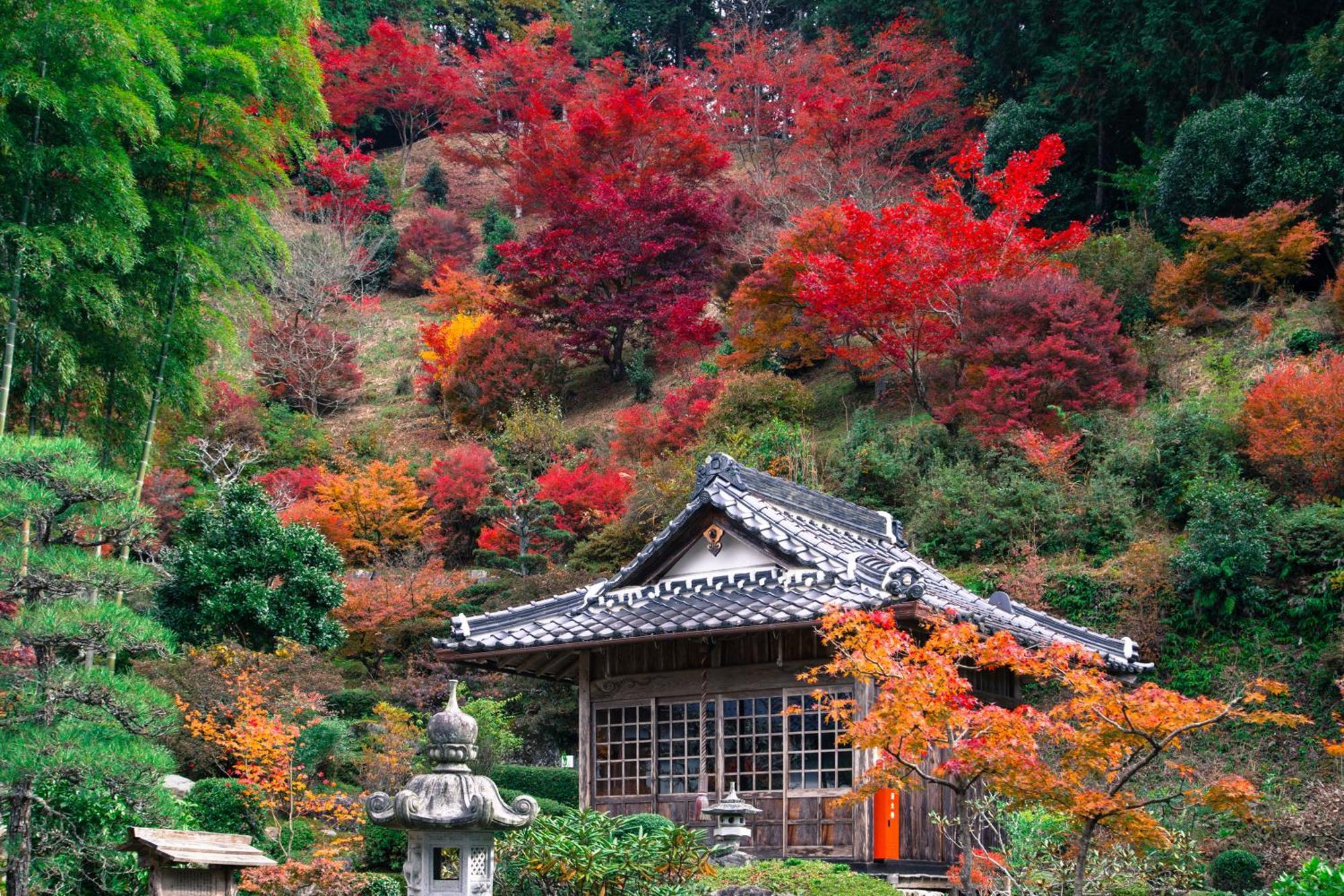 Satoyama Hotel Kanenone Tamba Maibara Esterno foto