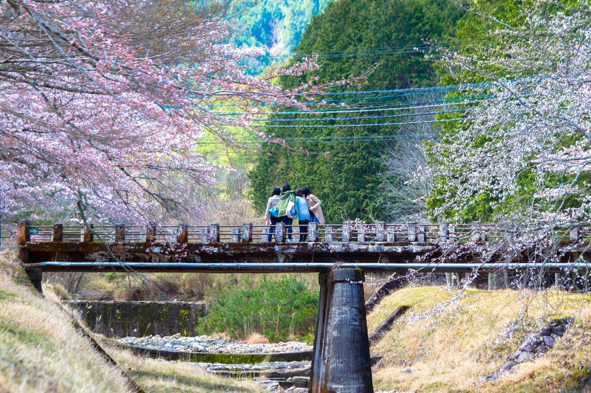 Satoyama Hotel Kanenone Tamba Maibara Esterno foto