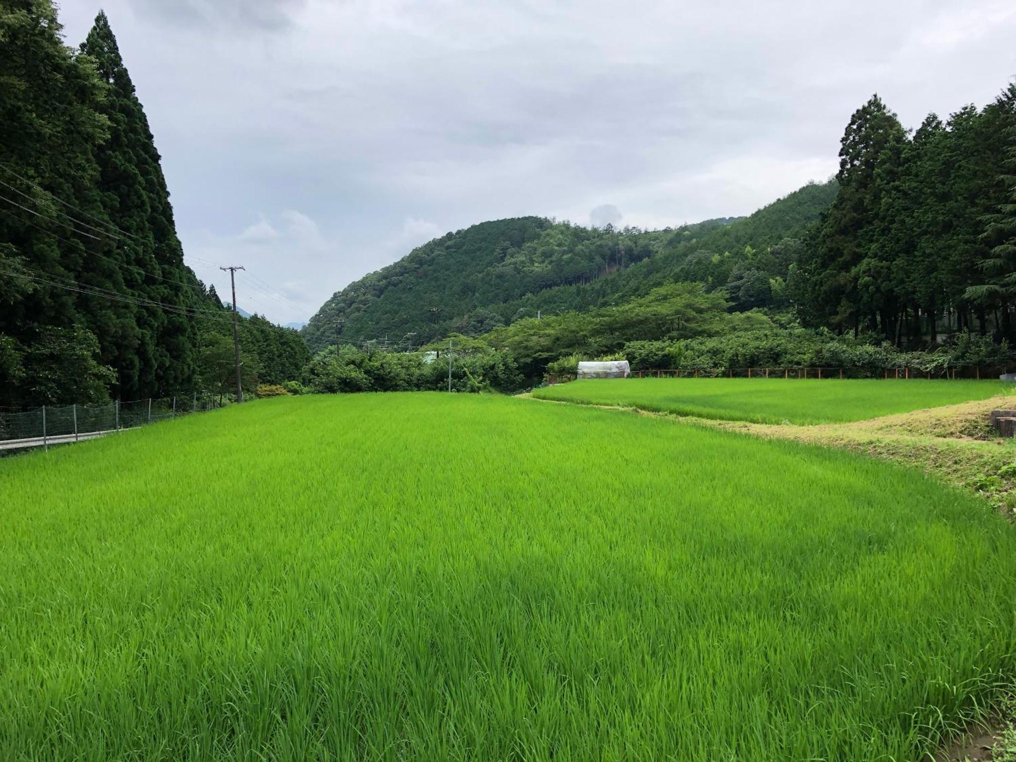 Satoyama Hotel Kanenone Tamba Maibara Esterno foto