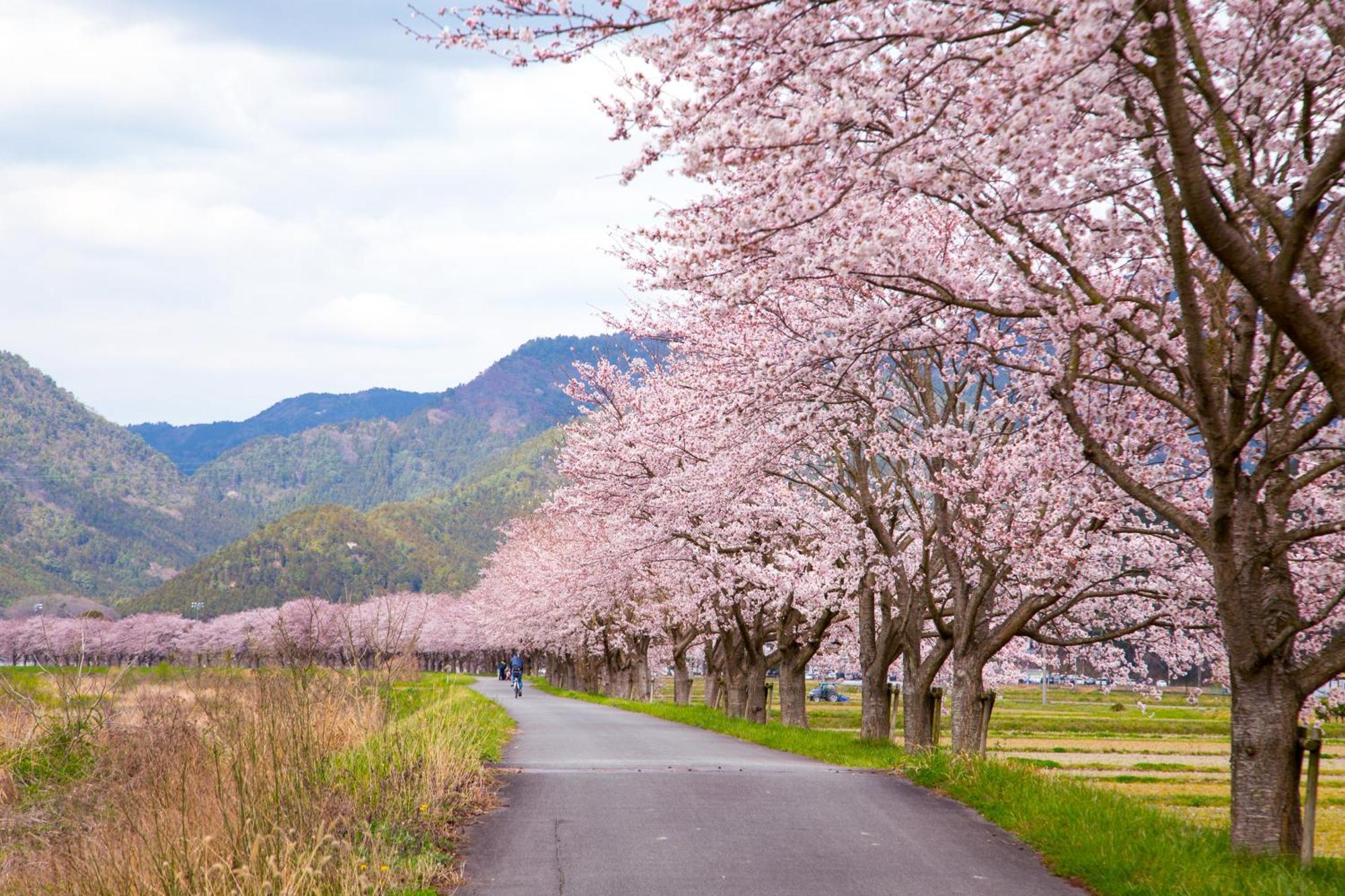 Satoyama Hotel Kanenone Tamba Maibara Esterno foto