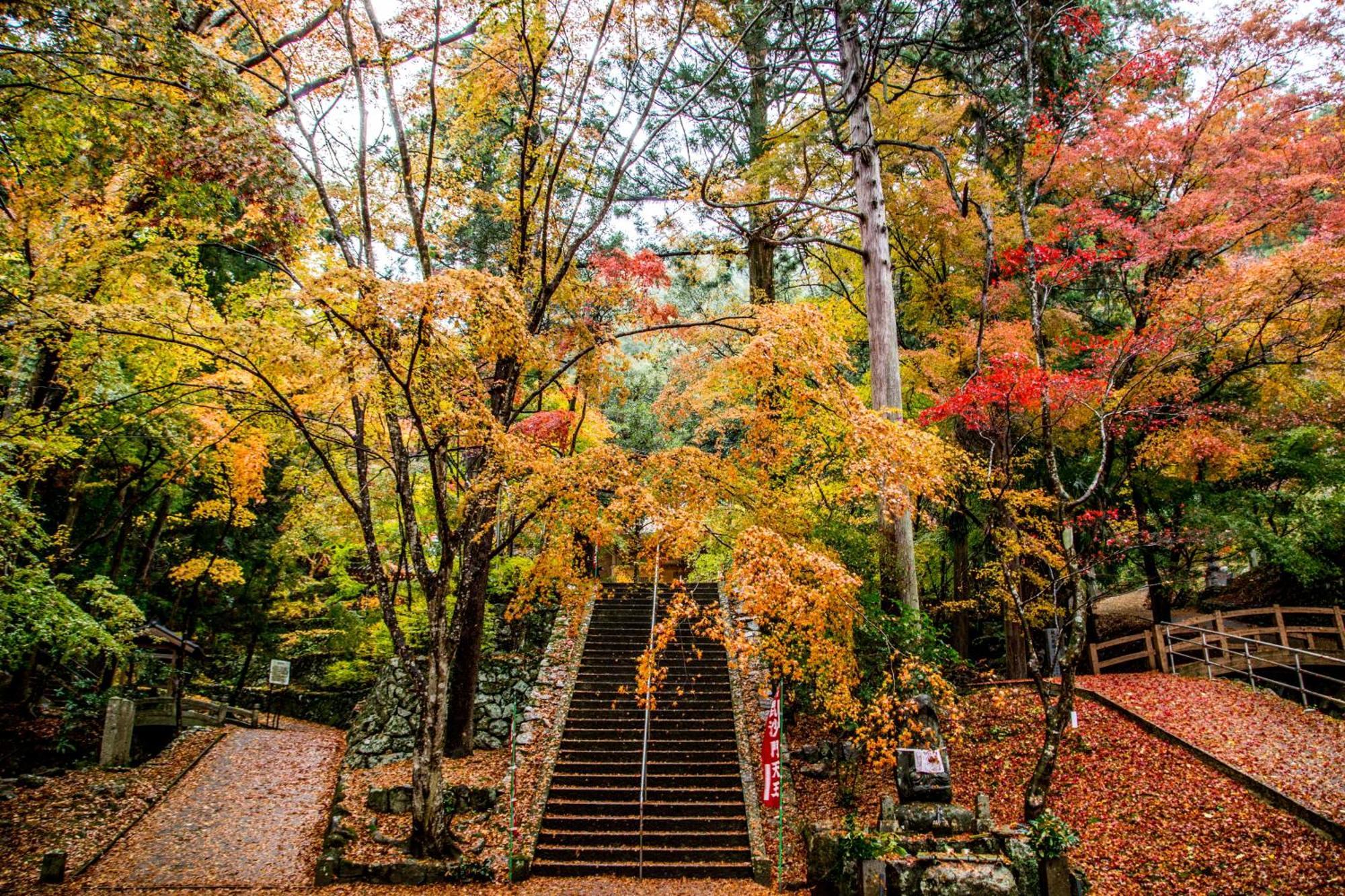 Satoyama Hotel Kanenone Tamba Maibara Esterno foto