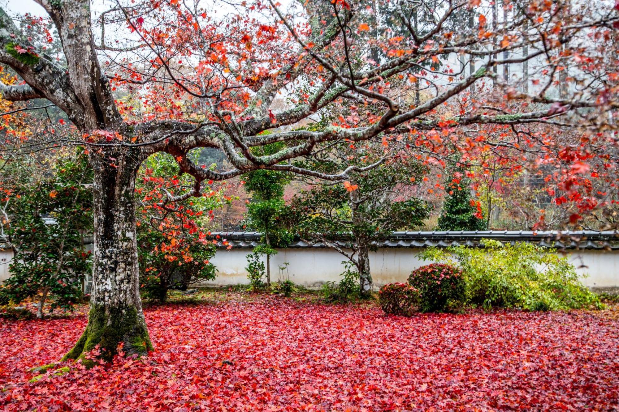 Satoyama Hotel Kanenone Tamba Maibara Esterno foto